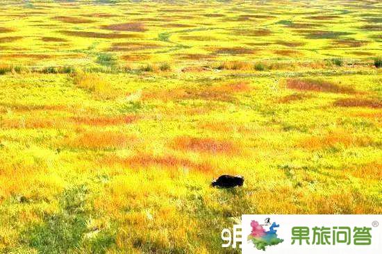9月份的香格里拉——今年9月想去麗江昆明大理旅游好嗎
