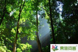 <b>昆明石林楚雄,大理麗江6日高端品質游 （面朝大海之浪漫海景系列）</b>