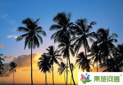【昆明直飛三亞】瀟灑蜈支洲——天涯海角、蜈支洲島、南山文化苑