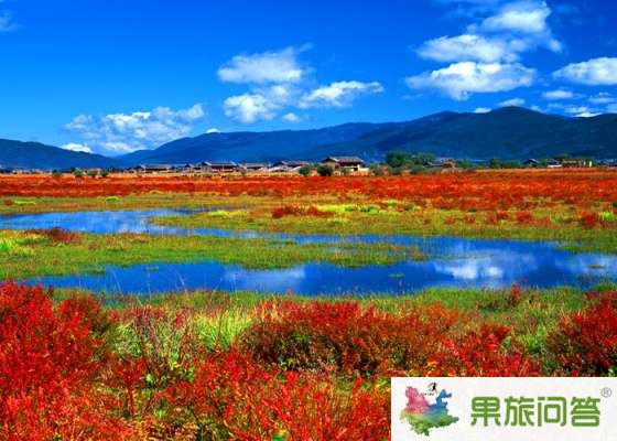 昆明、大理、麗江、香格里拉 7晚8天 生態(tài)休閑之旅