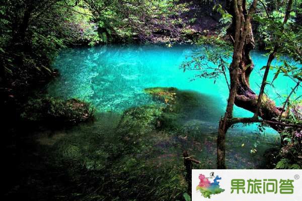 昆明、大理、麗江、西雙版納”7晚8天生態(tài)休閑之旅