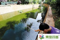 <b>昆明市上演小龍蝦大戰(zhàn)！小龍蝦涌進(jìn)入滇河道危害極大市民展開捕殺</b>