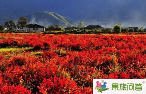 超值休閑游—麗江、香格里拉、大理六日游 HX