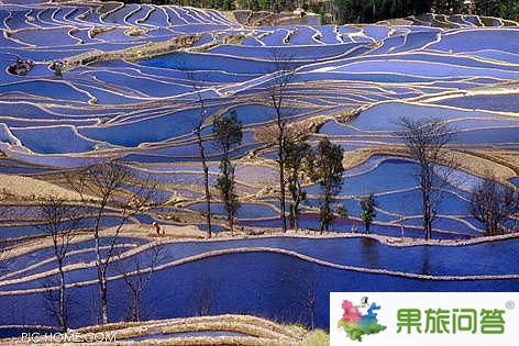 彩色的冬日——元陽(yáng)縣哈尼梯田風(fēng)光