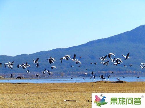 十年間:麗江穿越時(shí)光的愛(ài)戀 10大最美景點(diǎn)點(diǎn)評(píng)