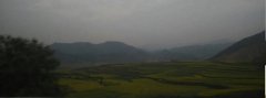 云南羅平油菜花已經(jīng)開了，你還等什么