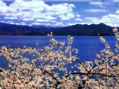 瀘沽湖機(jī)場(chǎng)到瀘沽湖怎么坐車？有多少