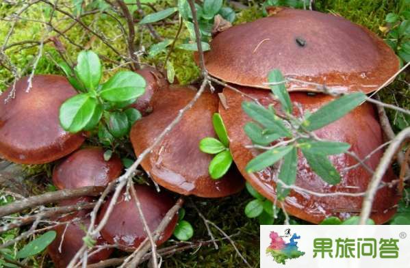 云南有什么好吃的？